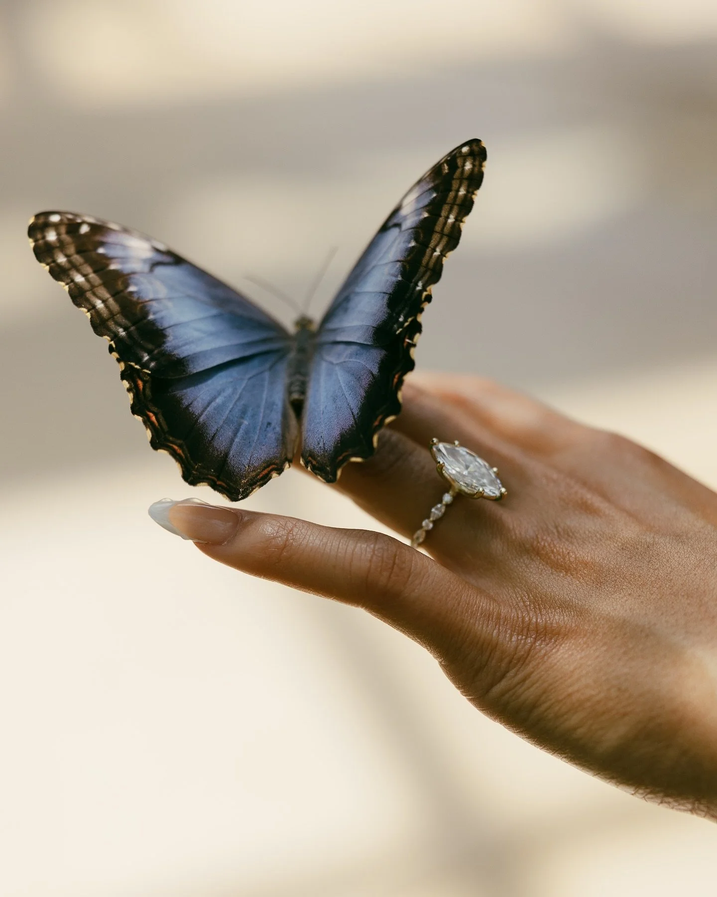 Close-up of a butterfly resting on a person's finger, with a ring featuring a large gemstone.