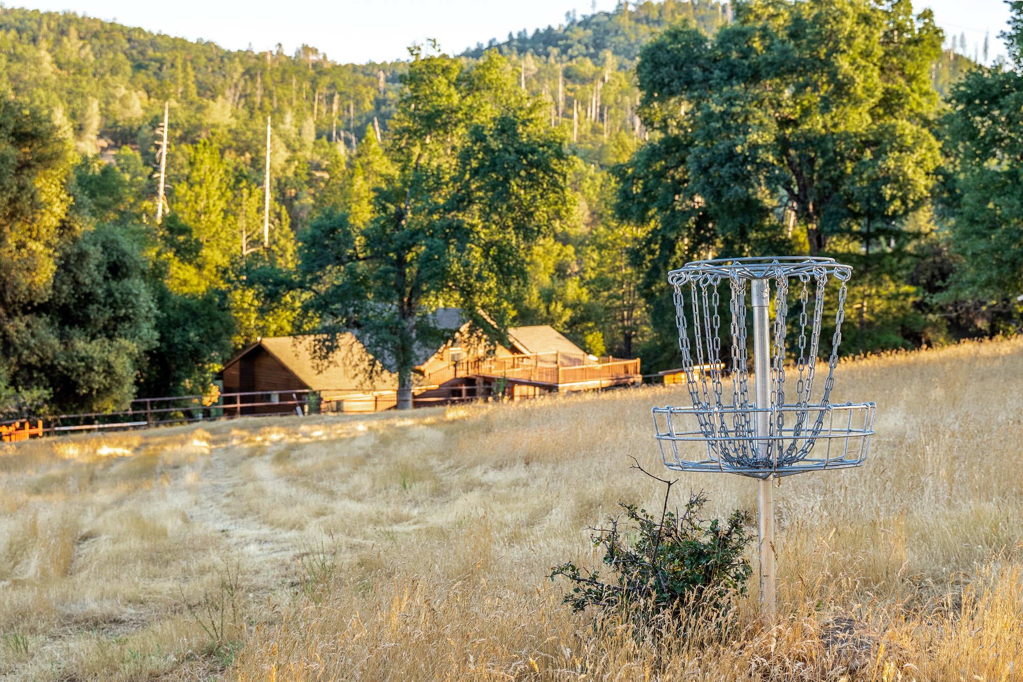 Disc golf basket in a grassy field with trees and cabins in the background.