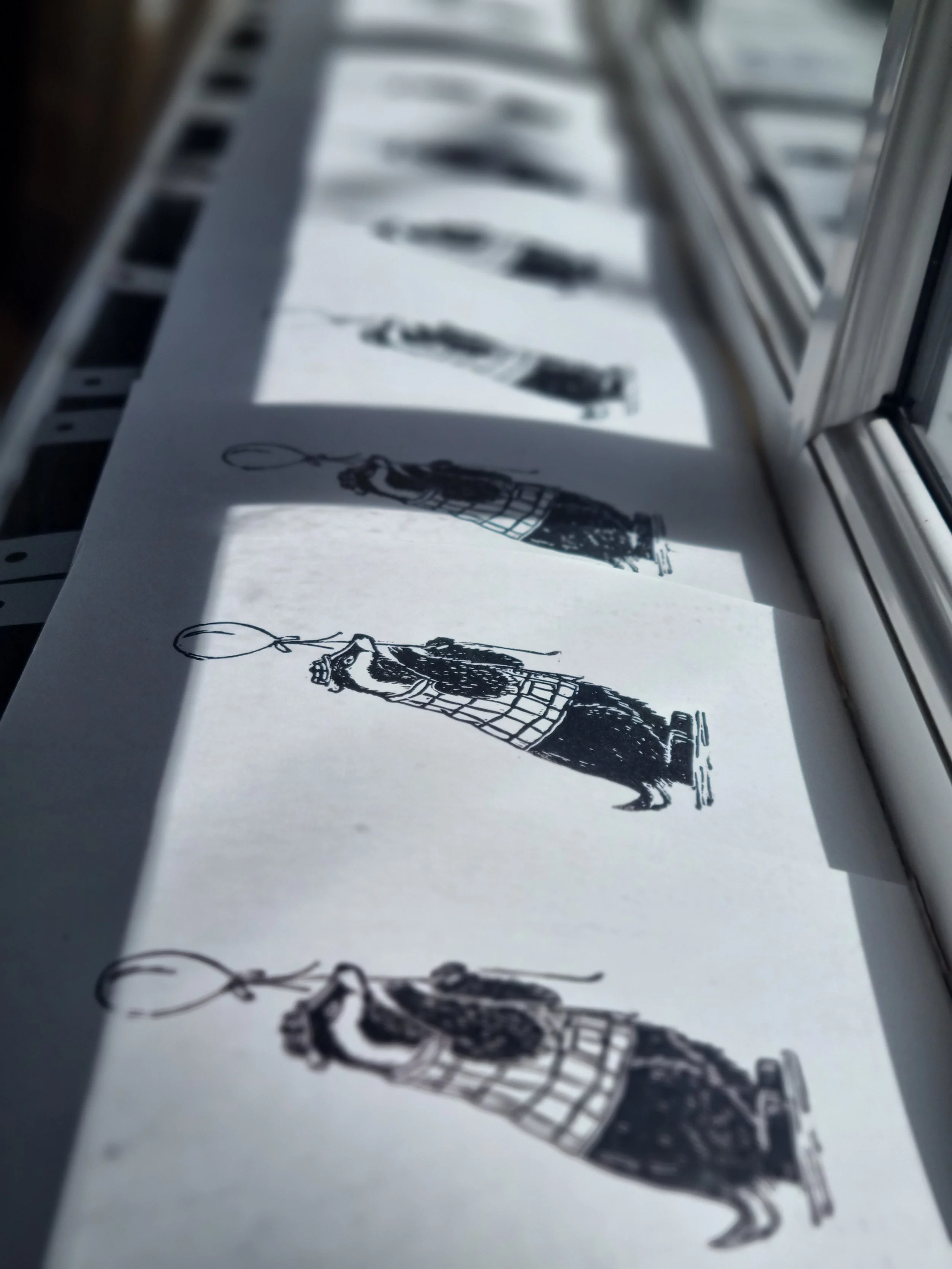 A series of lino prints in black ink of a badger holding a balloon, printed on white paper on a windowsill with sunlight casting shadows.