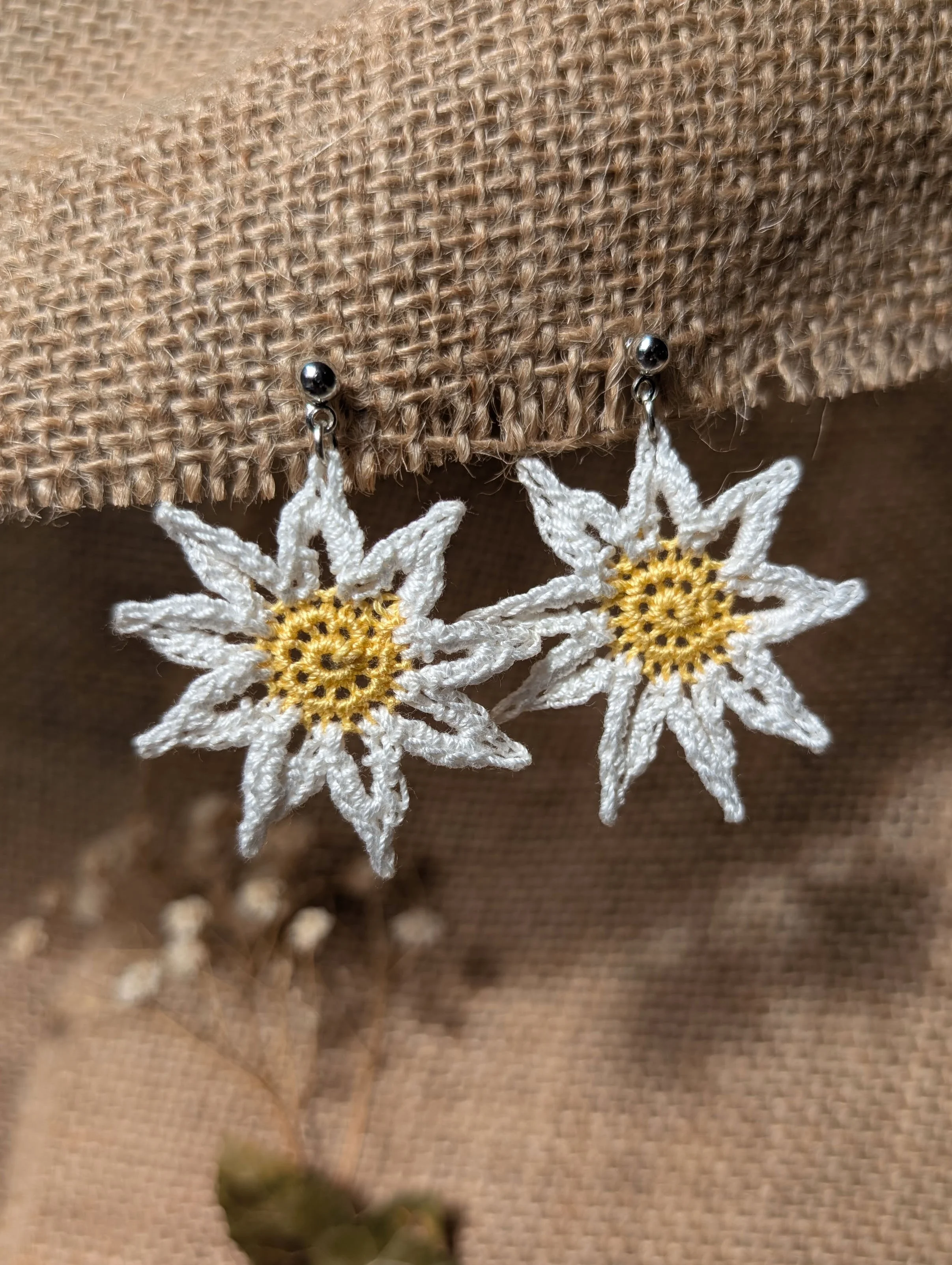 Daisies 2 copy.jpg