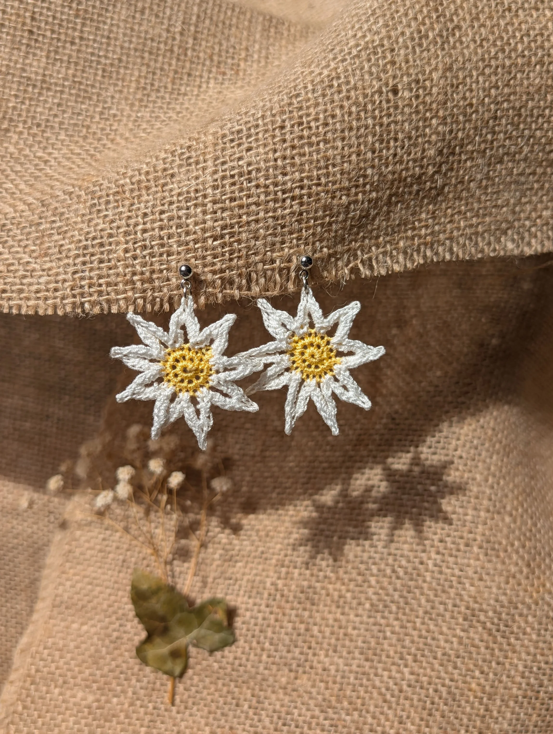 Daisies 1 copy.jpg