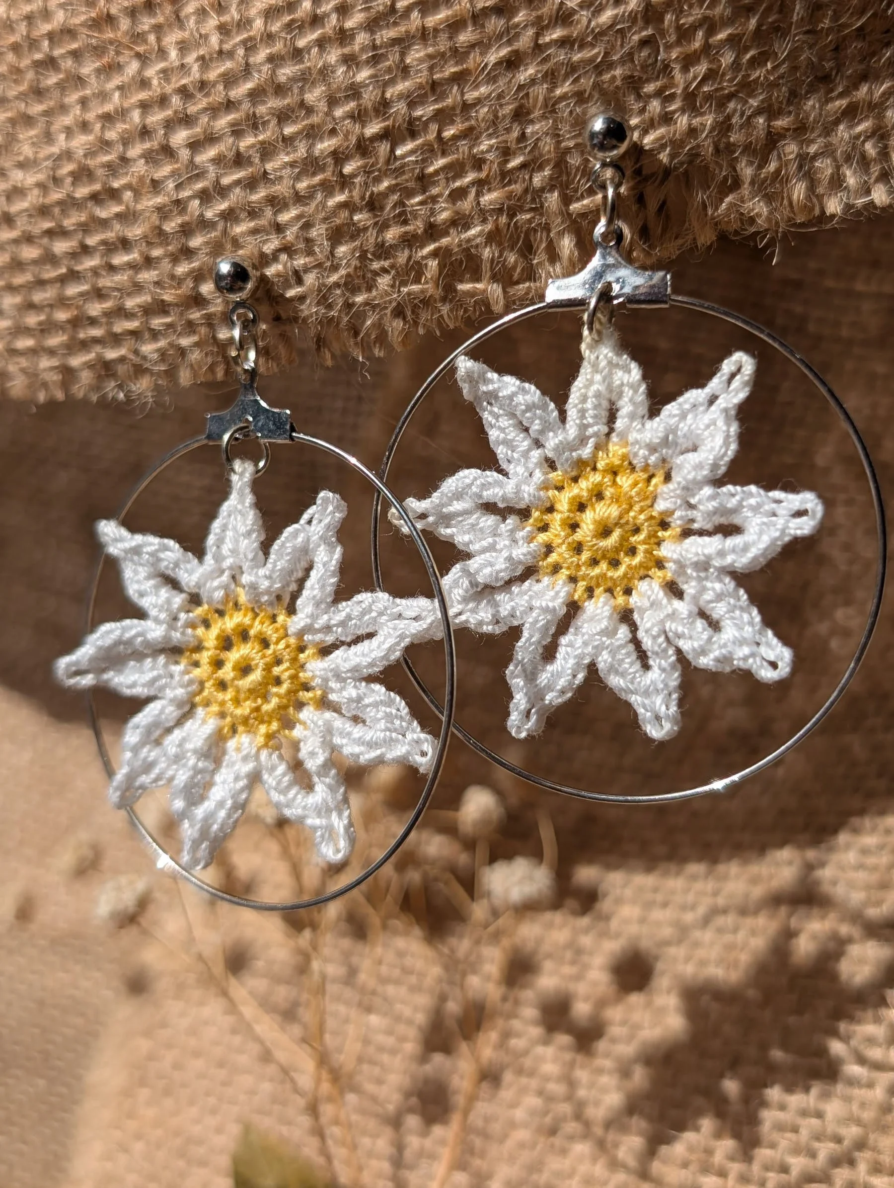 Daisy with hoops 1 copy.jpg