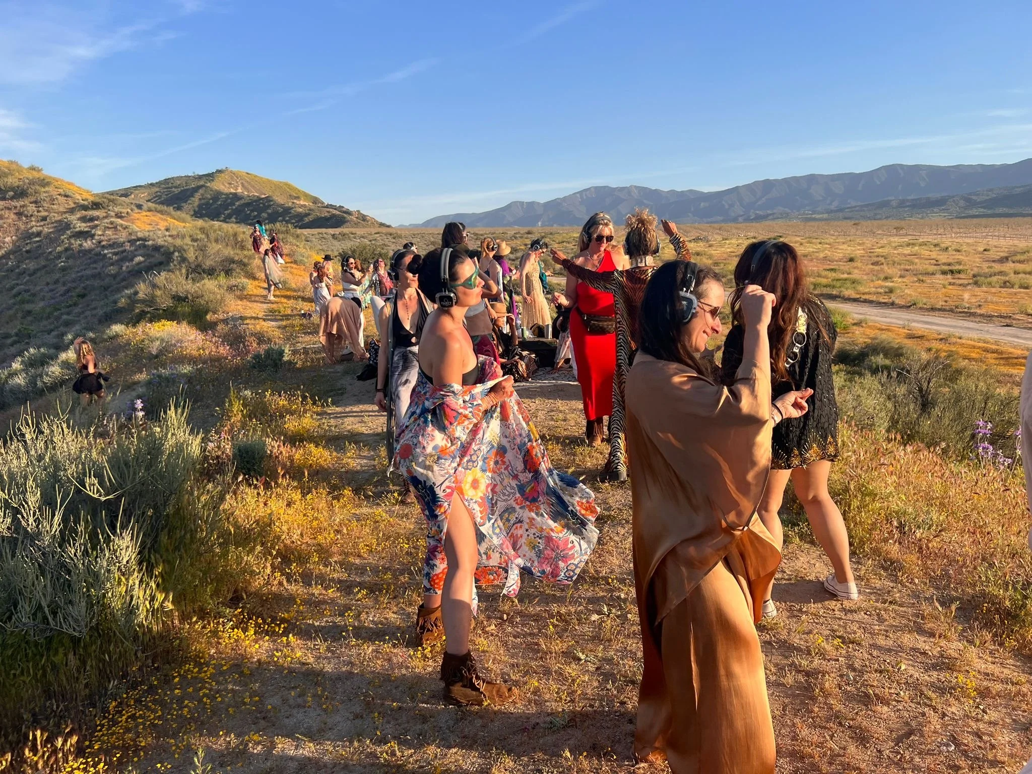 dbe754c0-e579-4ced-90ae-adb1fc16d1e4 2.jpeg