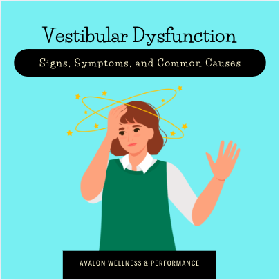 Blog Part 2: Vestibular Dysfunction: Signs, Symptoms, and Common Causes