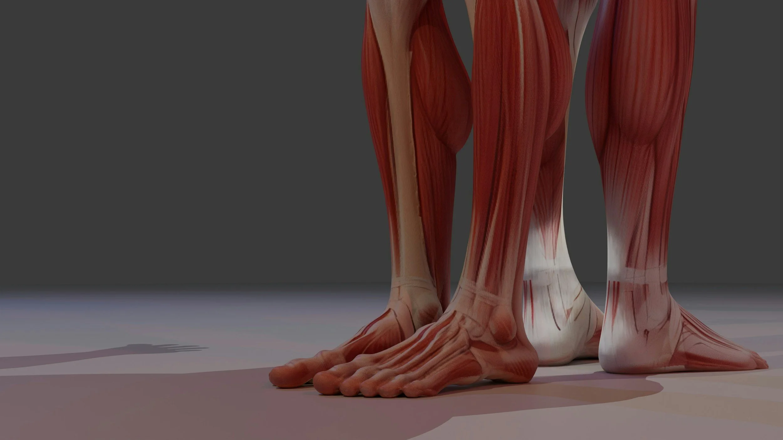 Shin Pain in Volleyball Players: When It’s More Than Shin Splints
