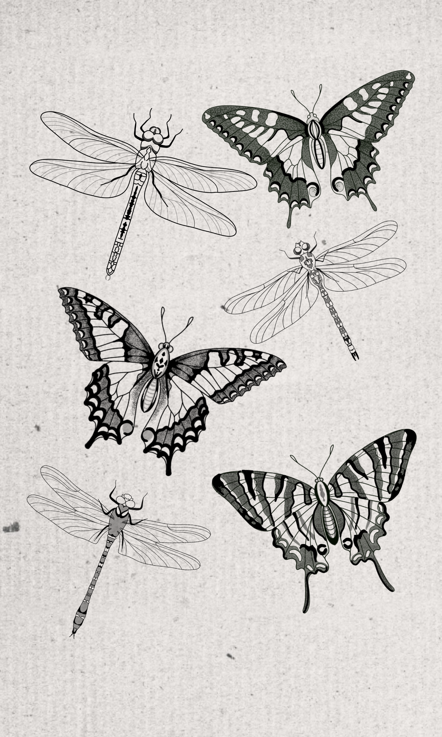 Illustrations of dragonflies and swallowtail butterflies on a textured background.