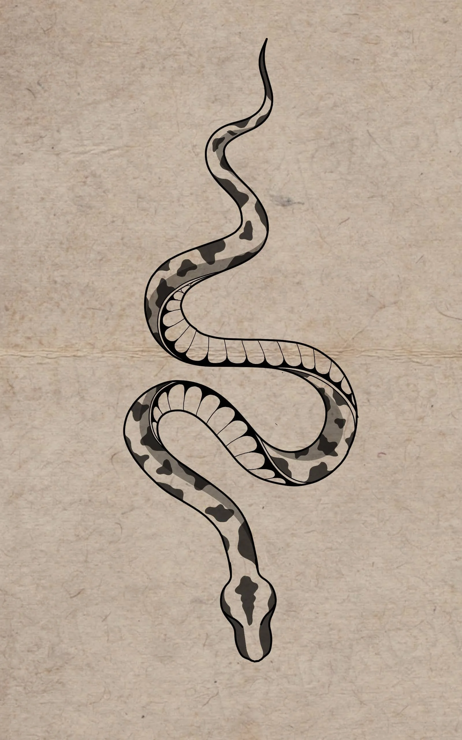 Illustration of a snake with a patterned body on a textured beige background.