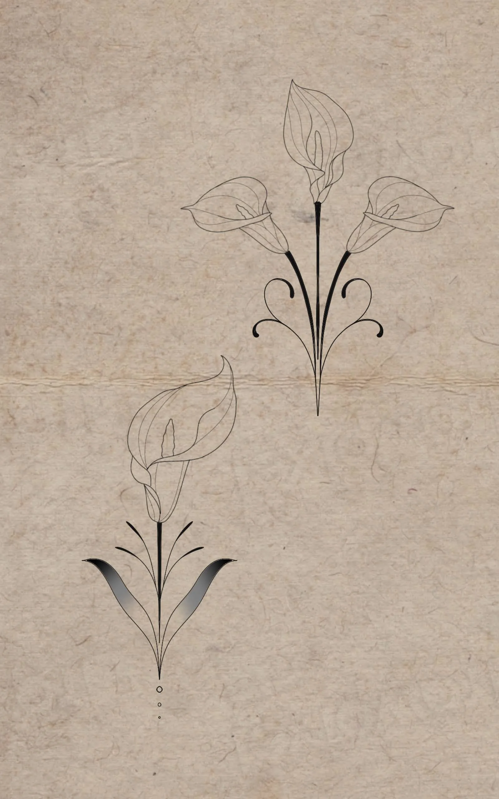 Minimalist black line drawings of calla lilies on a textured beige background, with one flower in a gradient gray silhouette.