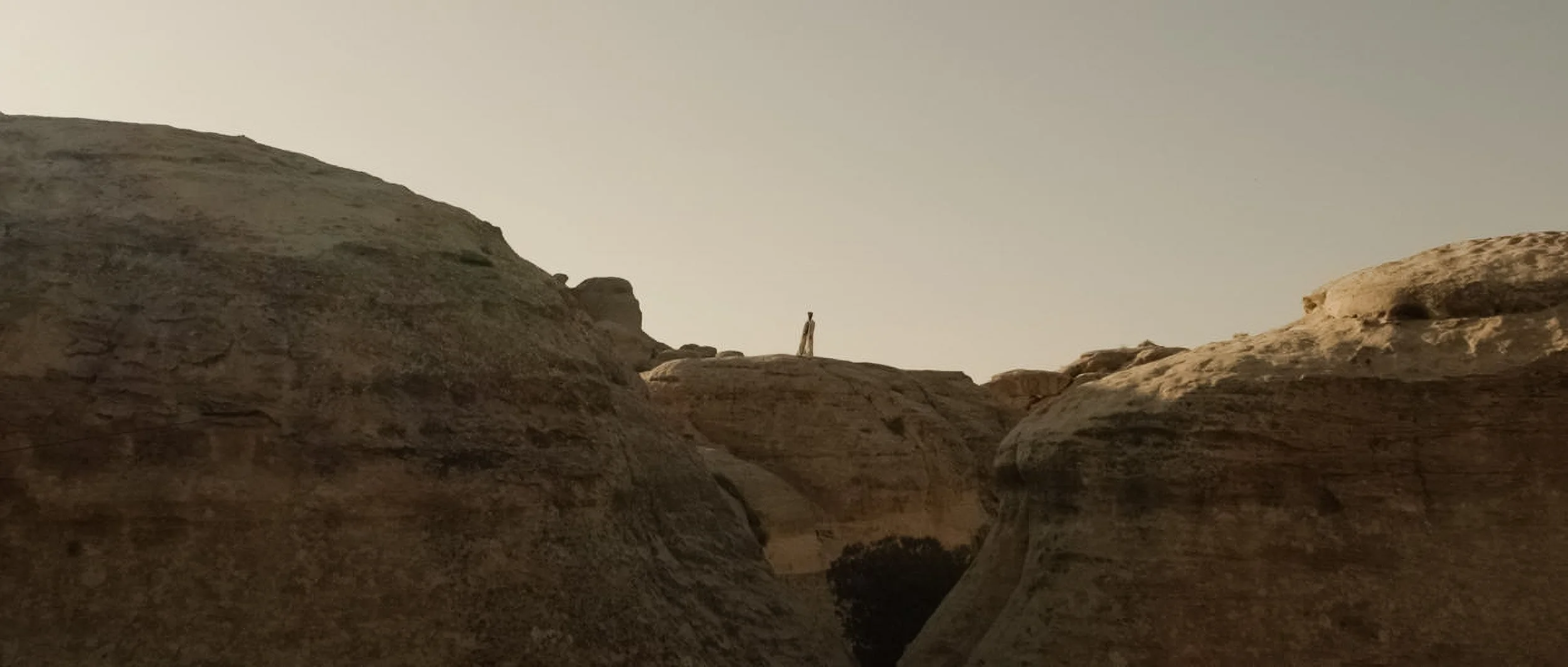 WhatsApp Image 2026-02-26 at 12.35.04.jpg