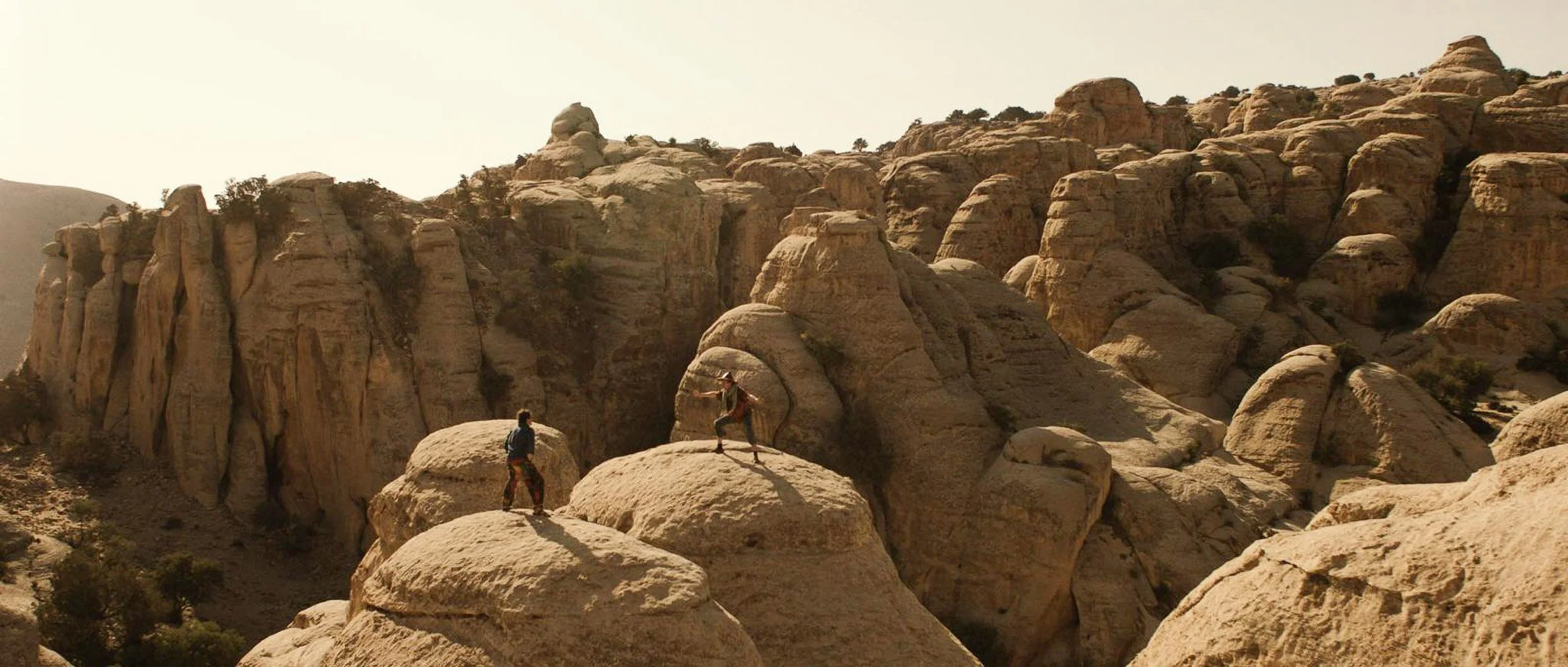 WhatsApp Image 2026-02-26 at 12.33.34.jpg