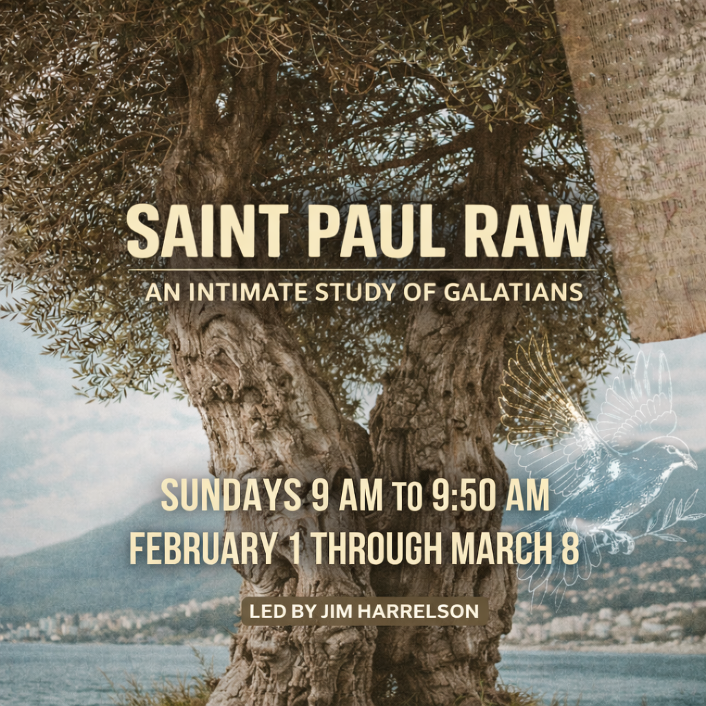 Saint Paul Raw: An intimate study of Galatians