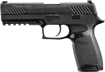 P320.png