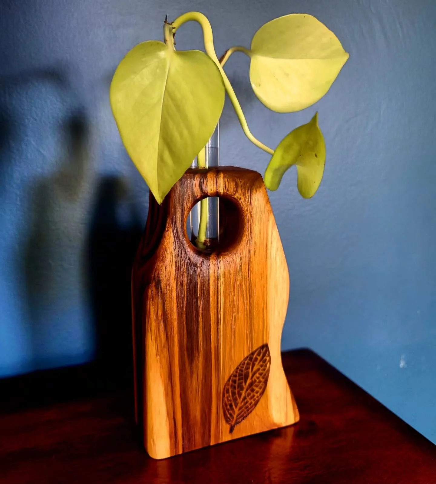 Really happy with how all these first round Plant Propagators came out, starting some new Pothos with my personal one!
.
These will be available on my website soon, currently have 9 different ones available and ready to ship. Portfolio pictures to fo