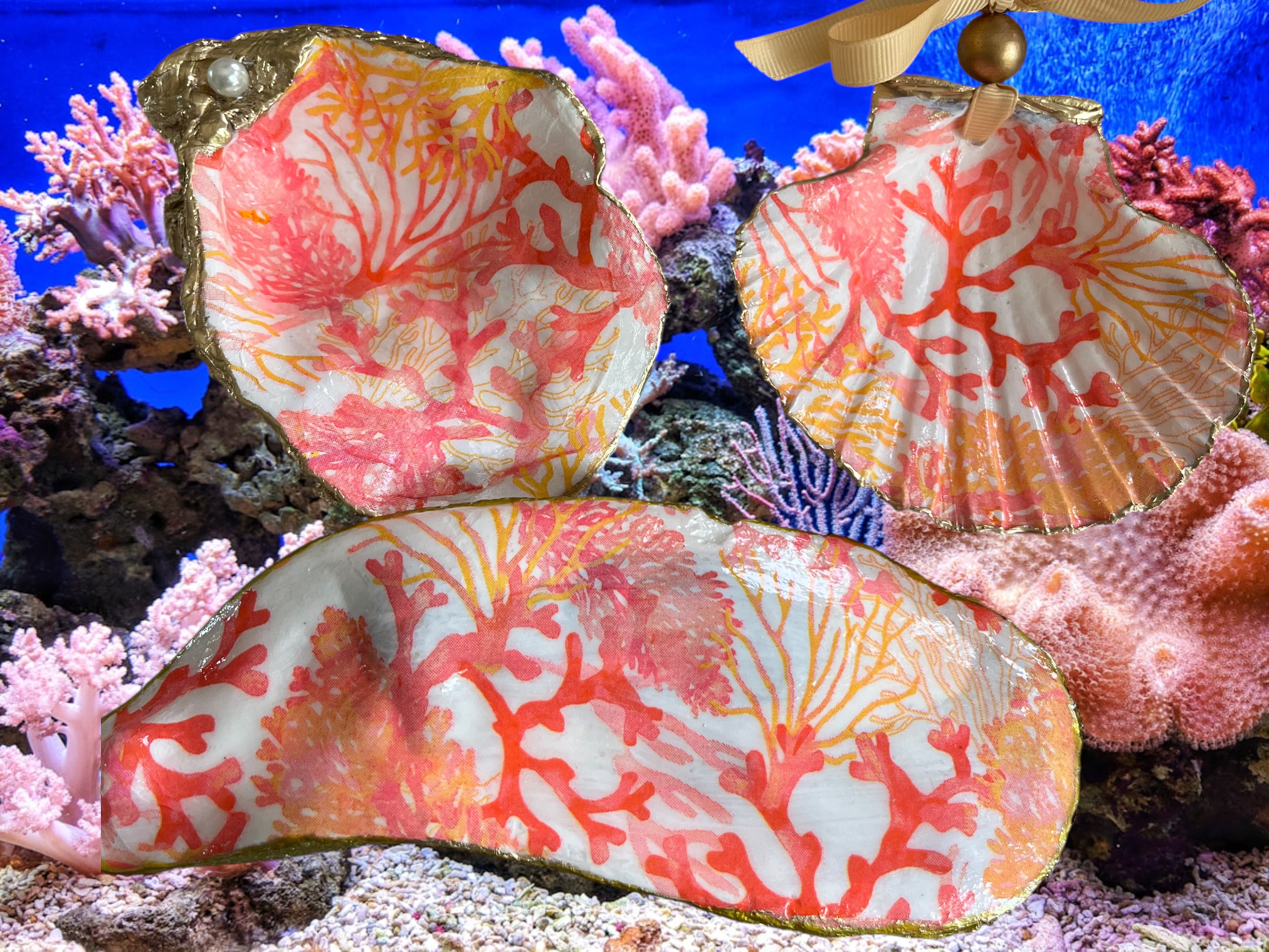 Coral Decorative Shell Trio
