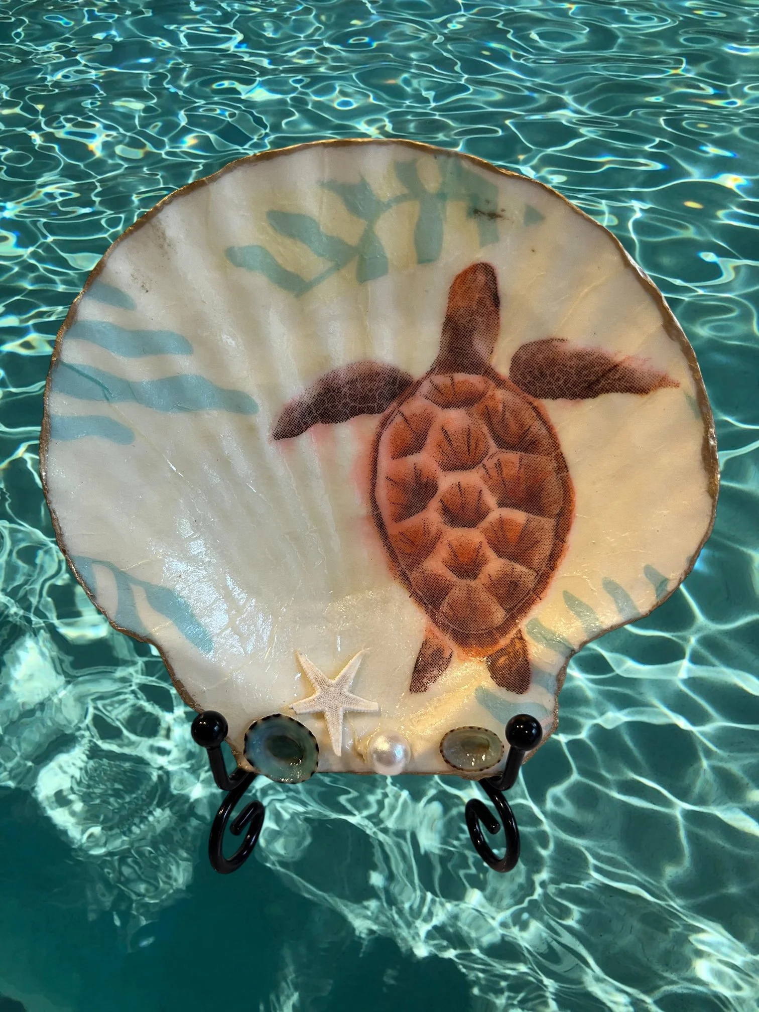 Sea Turtle Scallop Shell Ornament
