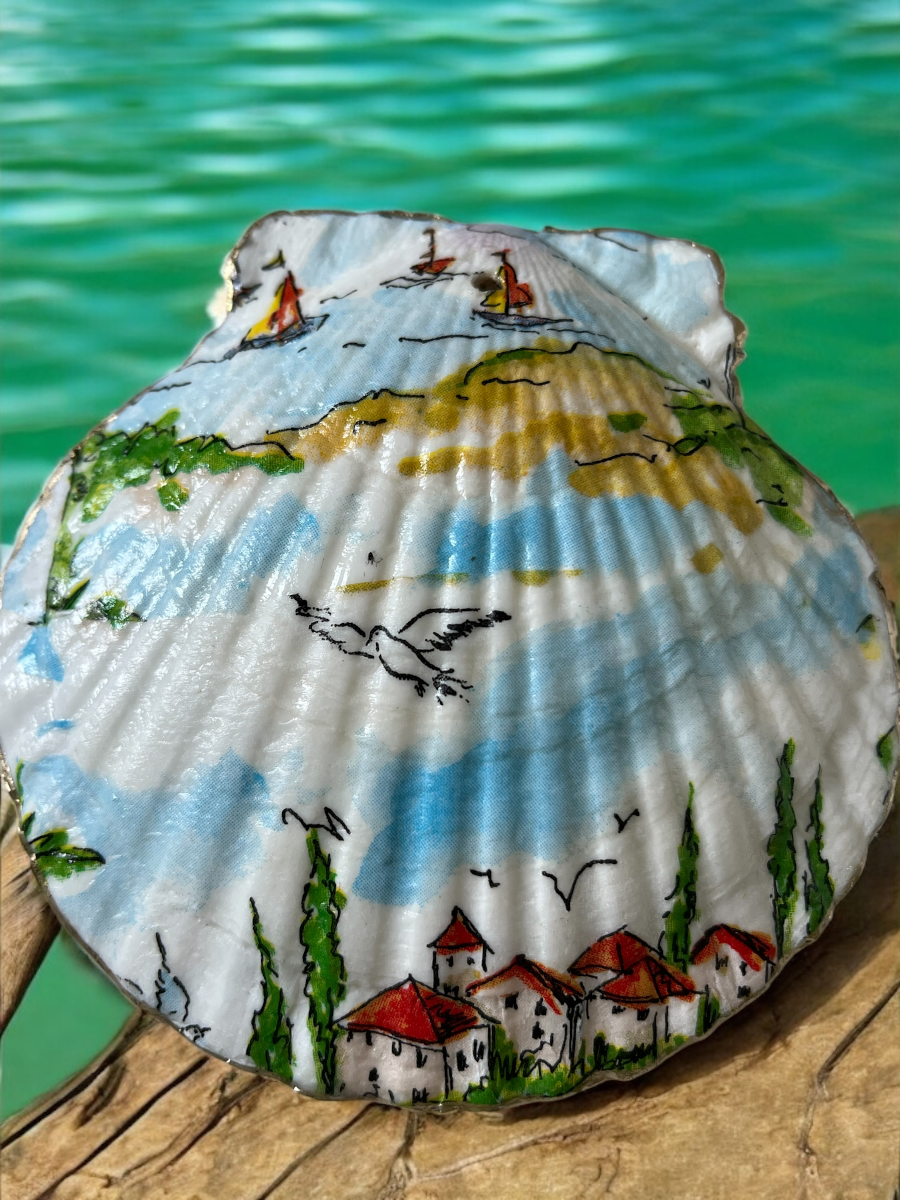 Summer Sails Back