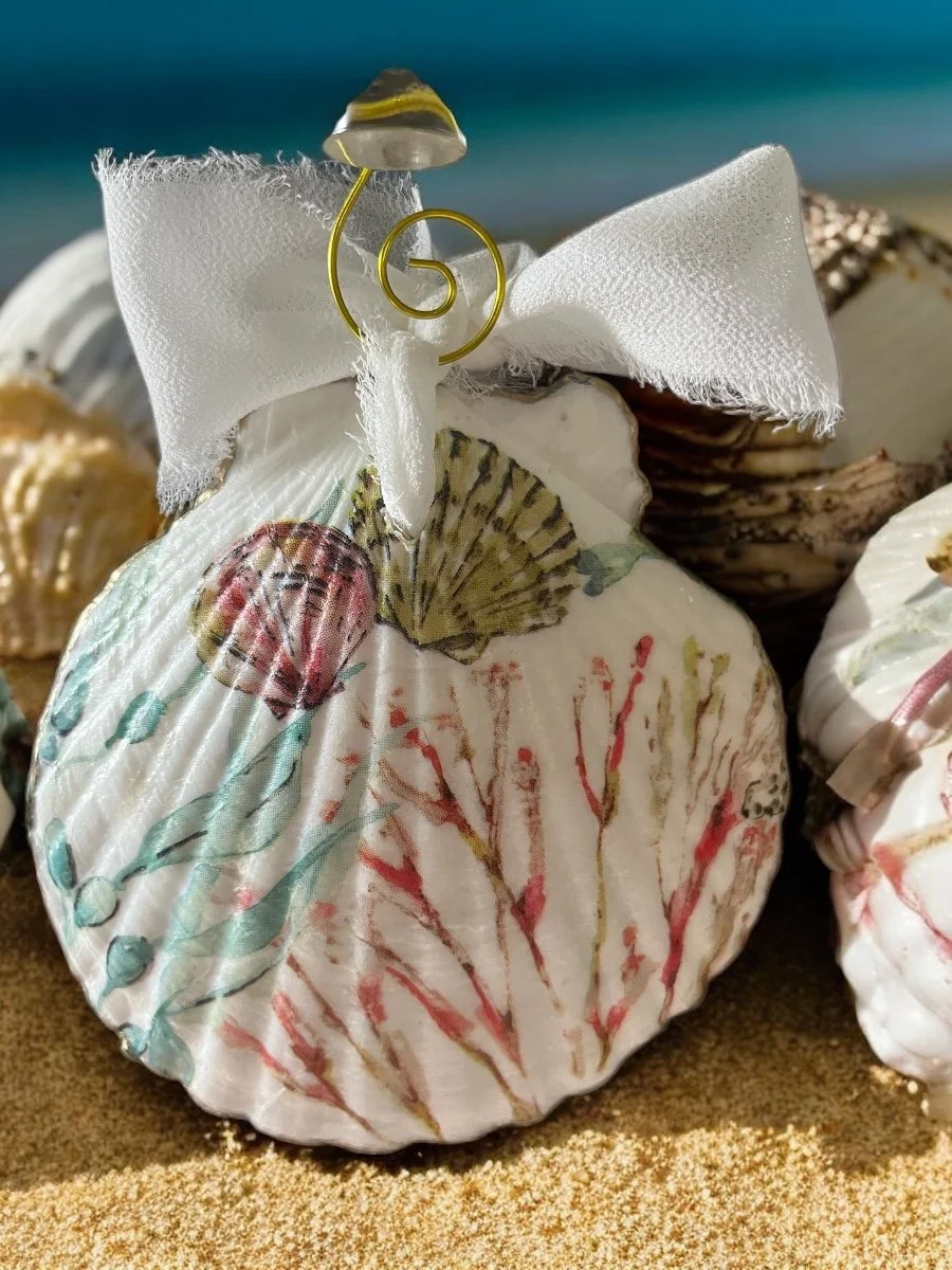 Sea Shells Decorative Shell Back