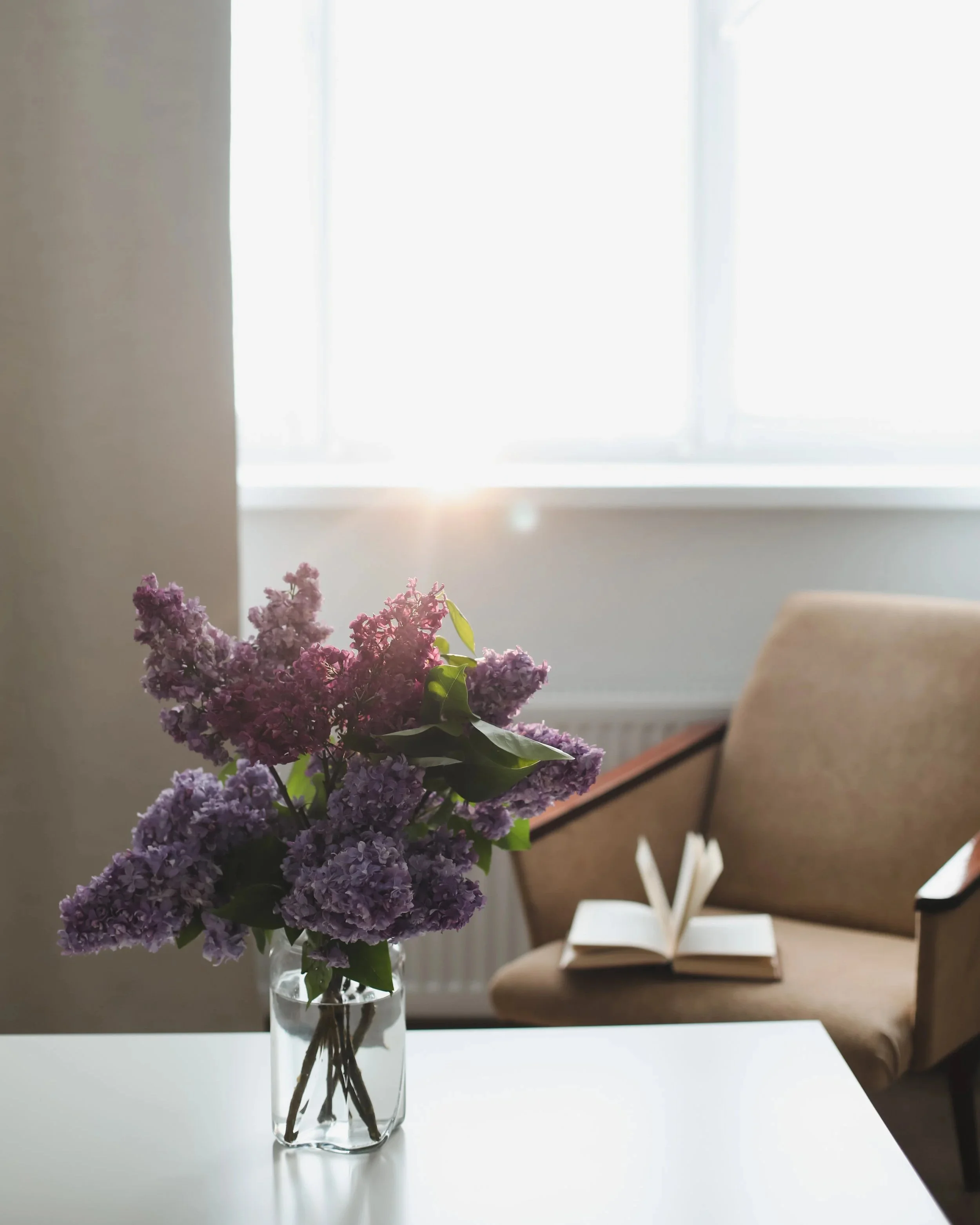 A space for your to feel safe, welcome, and comfortable to explore