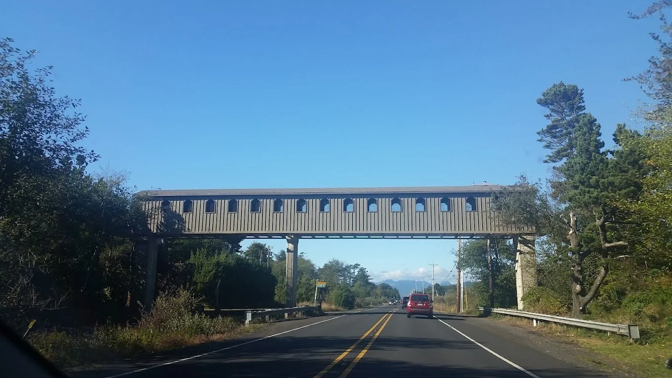 Twin Rocks Bridge Crossing to beach front