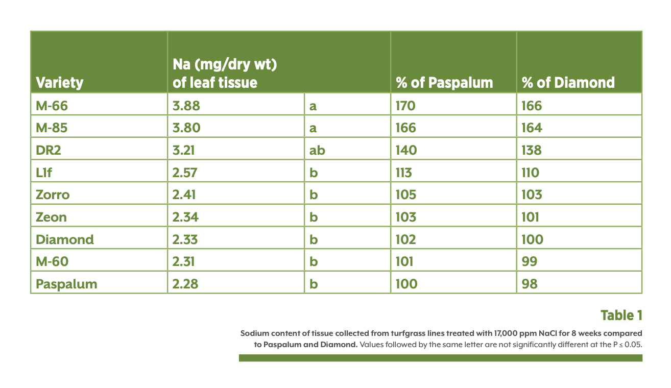  Note: M-66 is now known as Stadium Zoysia  M-60 is now known as Prizm Zoysia   and M-85 is now known as Primo Zoysia 
