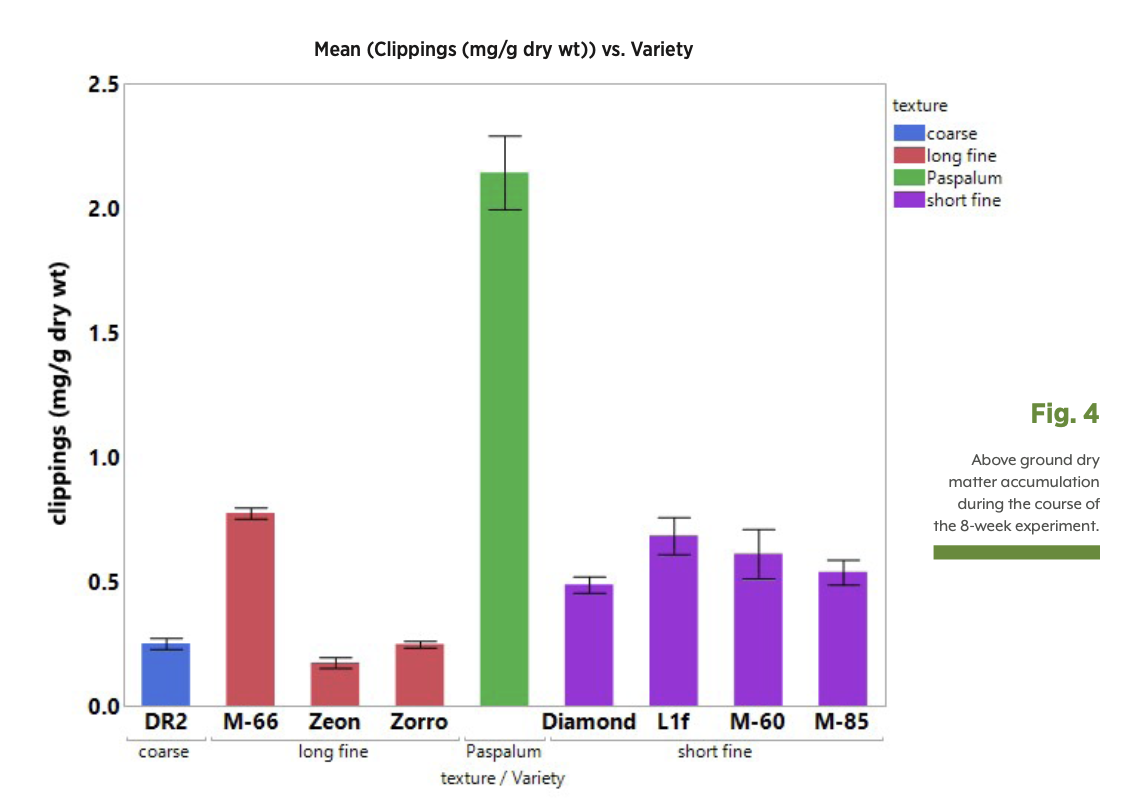  Note: M-66 is now known as Stadium Zoysia  M-60 is now known as Prizm Zoysia   and M-85 is now known as Primo Zoysia 