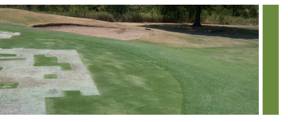 Screenshot 2026-01-08 at 3.39.04 PM.png