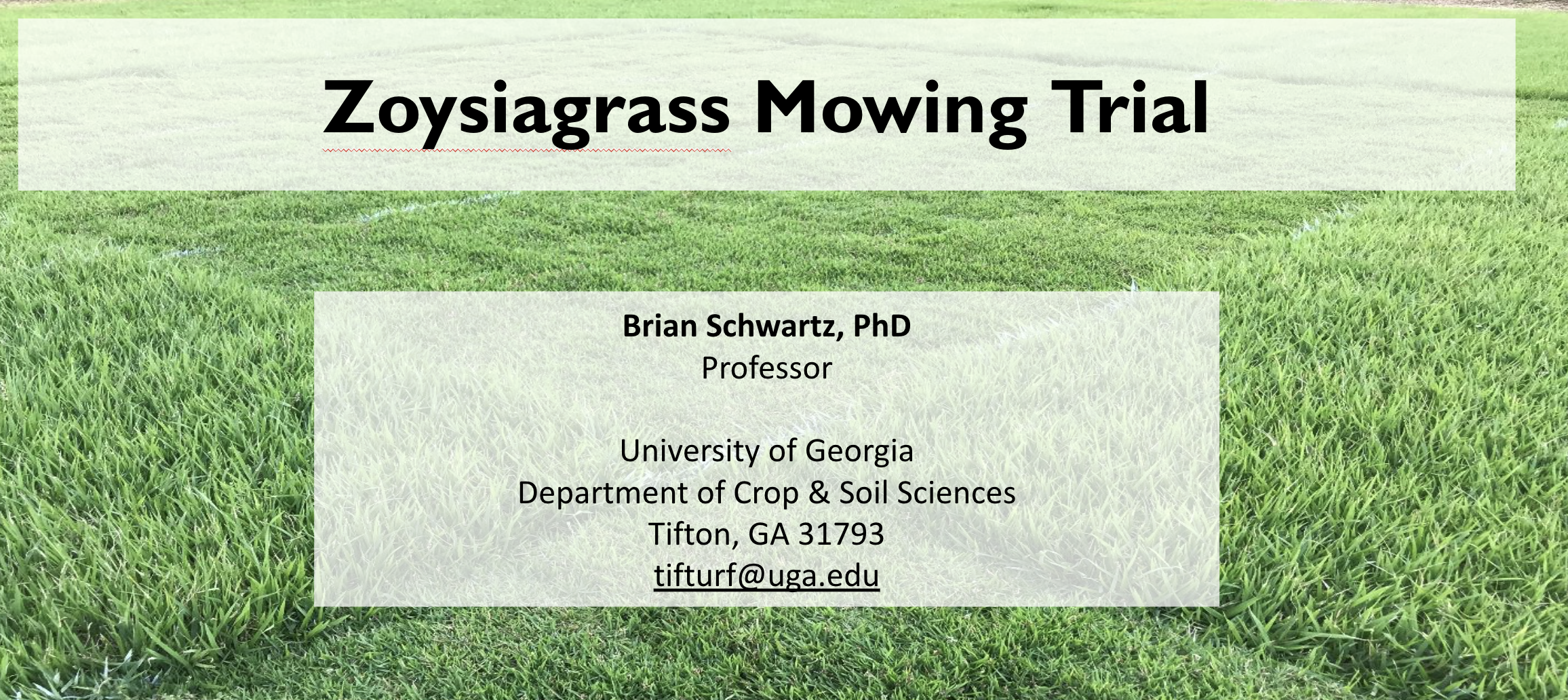 Zoysiagrass Mowing Frequency Trial