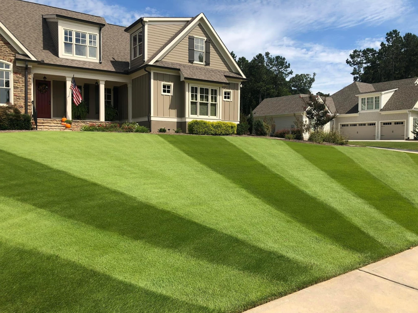 Zeon Color Zeon Zoysia — Bladerunner Farms