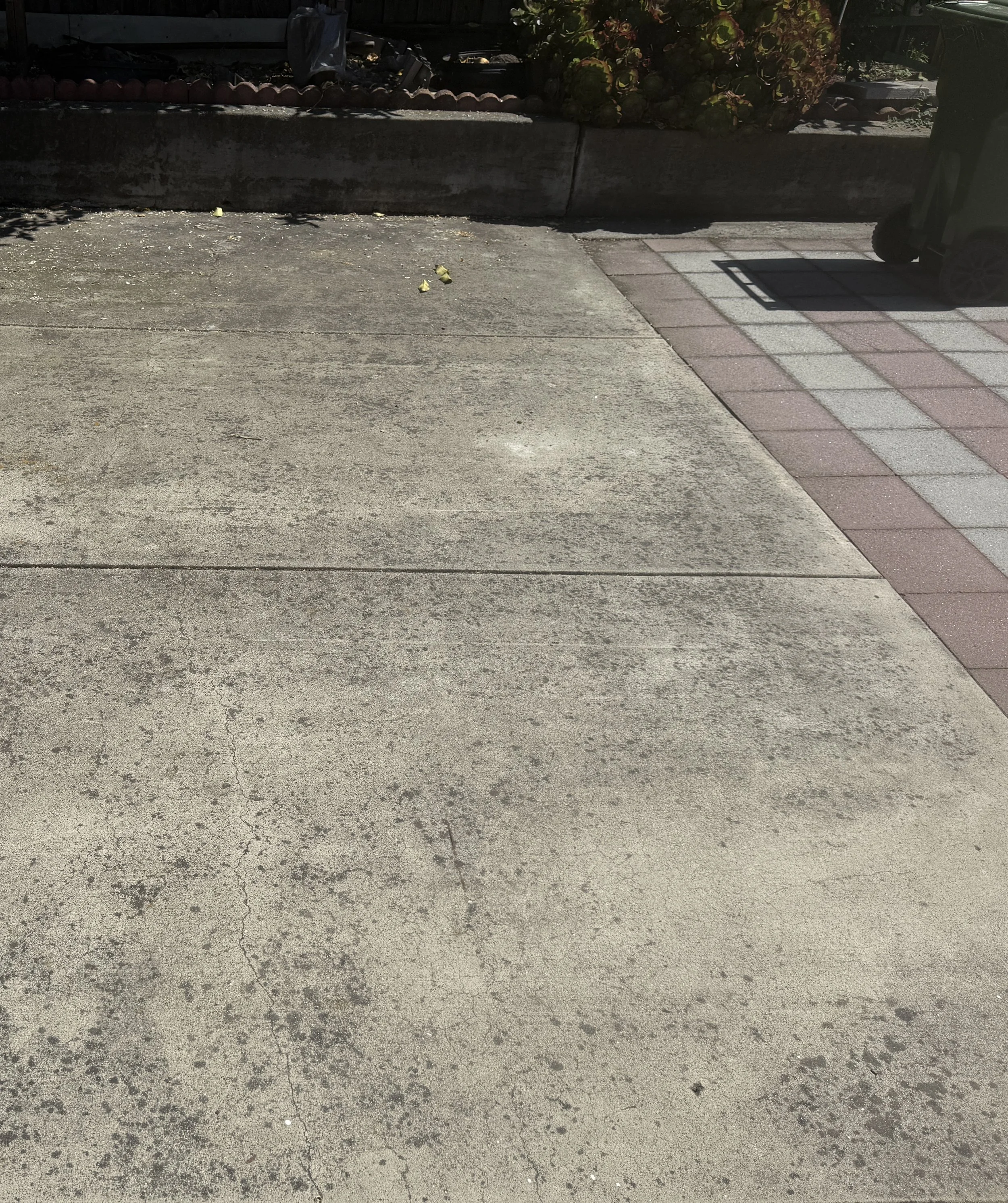 Driveway before pressure washing