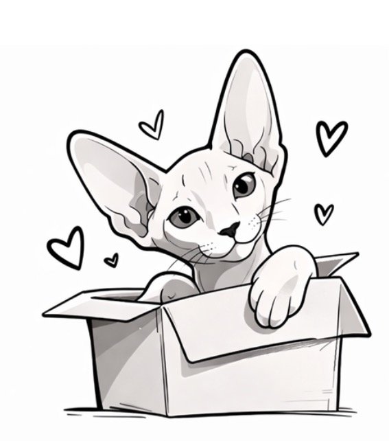 Peterbald In A Box