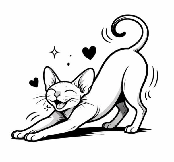 Peterbald Stretch Sticker