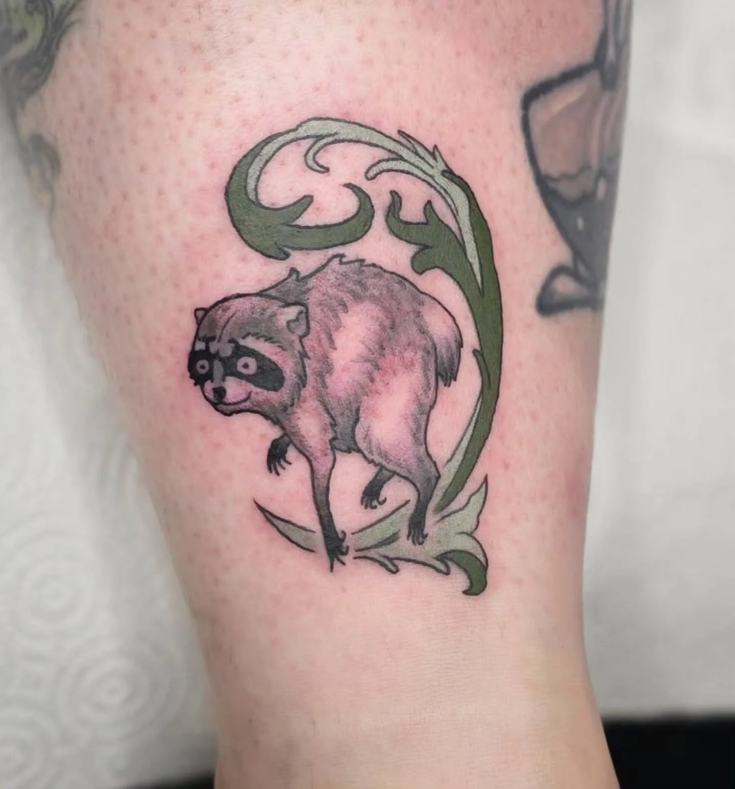 Hopped on the bandwagon &amp; did my first Jimothy tattoo 😅🦝 

#jimothy #cryptid #racoon #ballard #seattletattoo