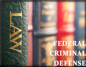 Close-up of a green legal book titled 'LAW' with other law books visible in the background.