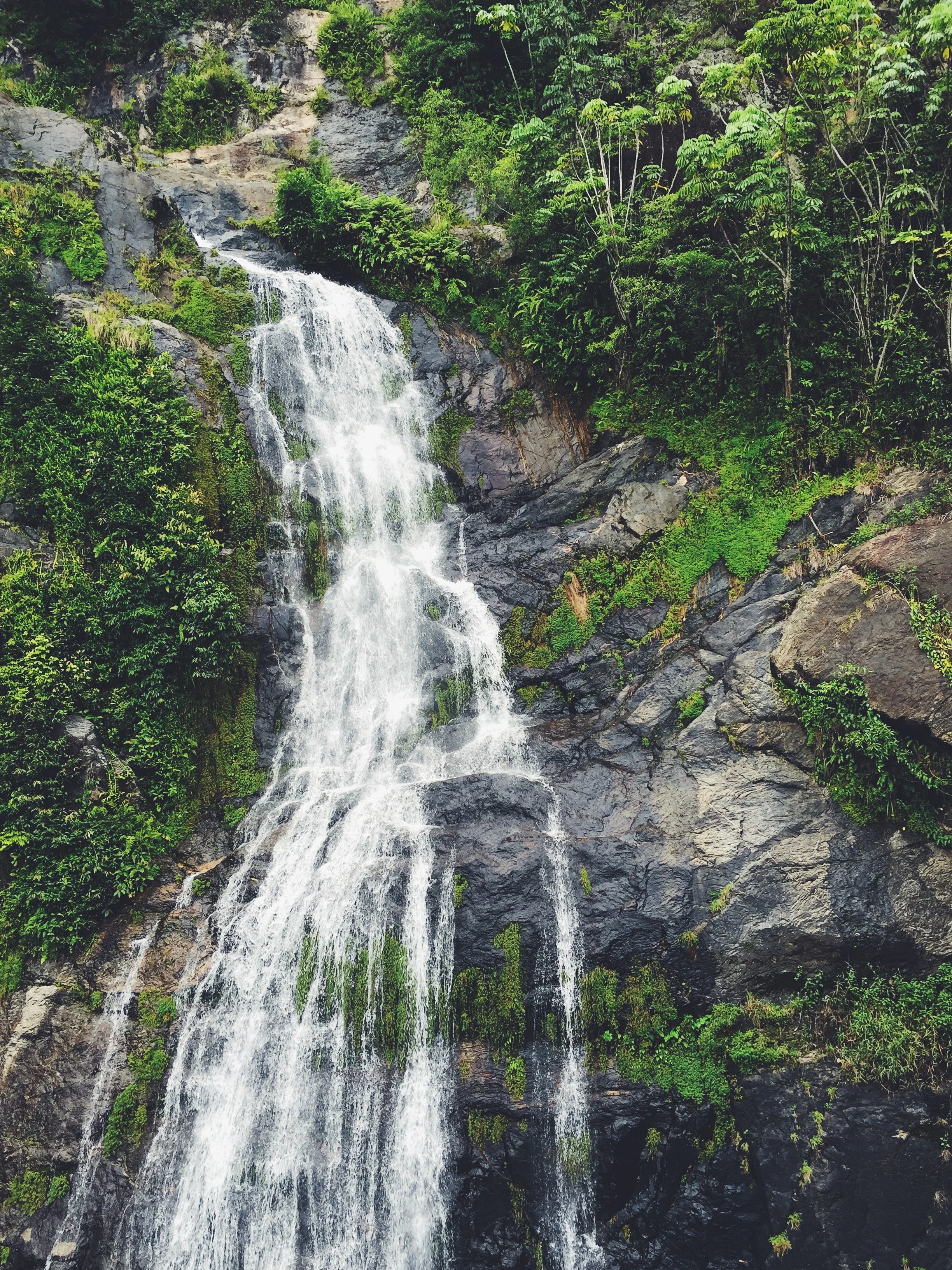 Rainforest Waterfall
