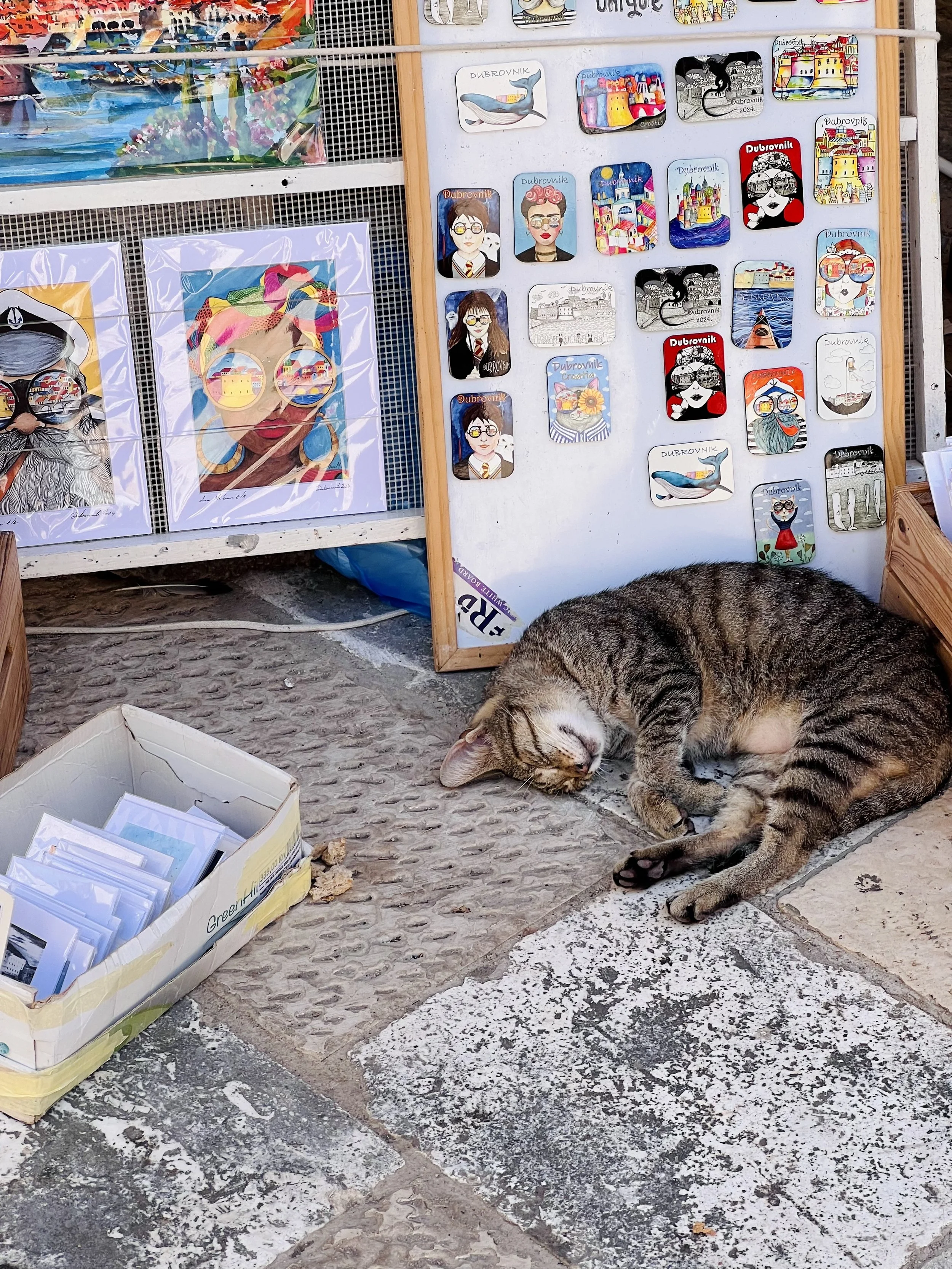 Sleeping Artist