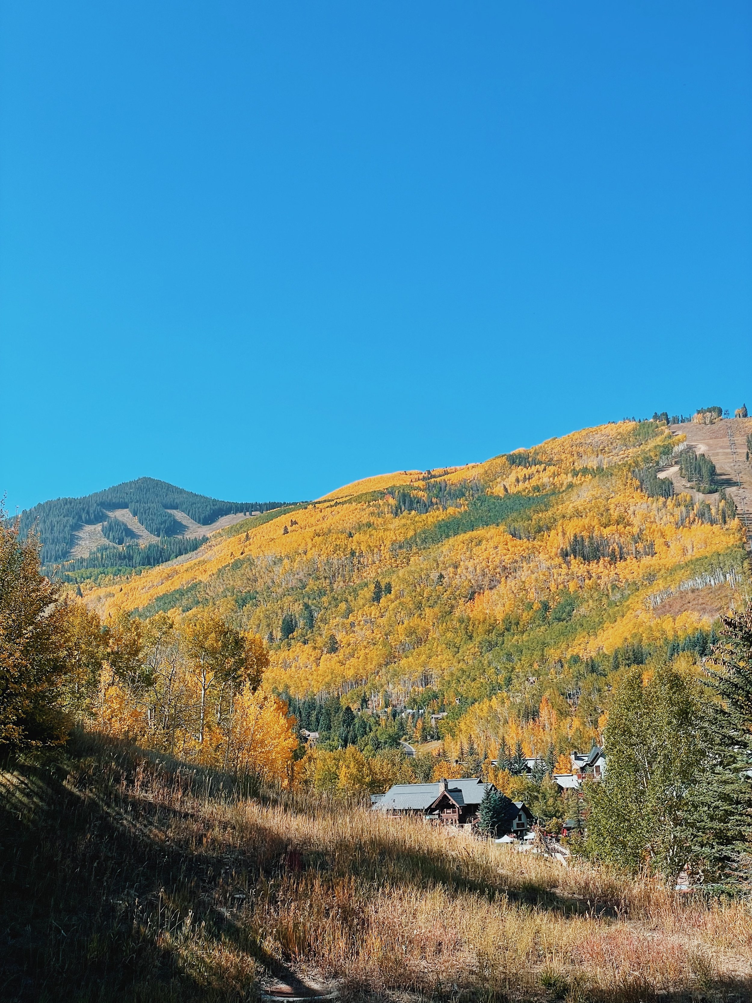 Colorado Cabin