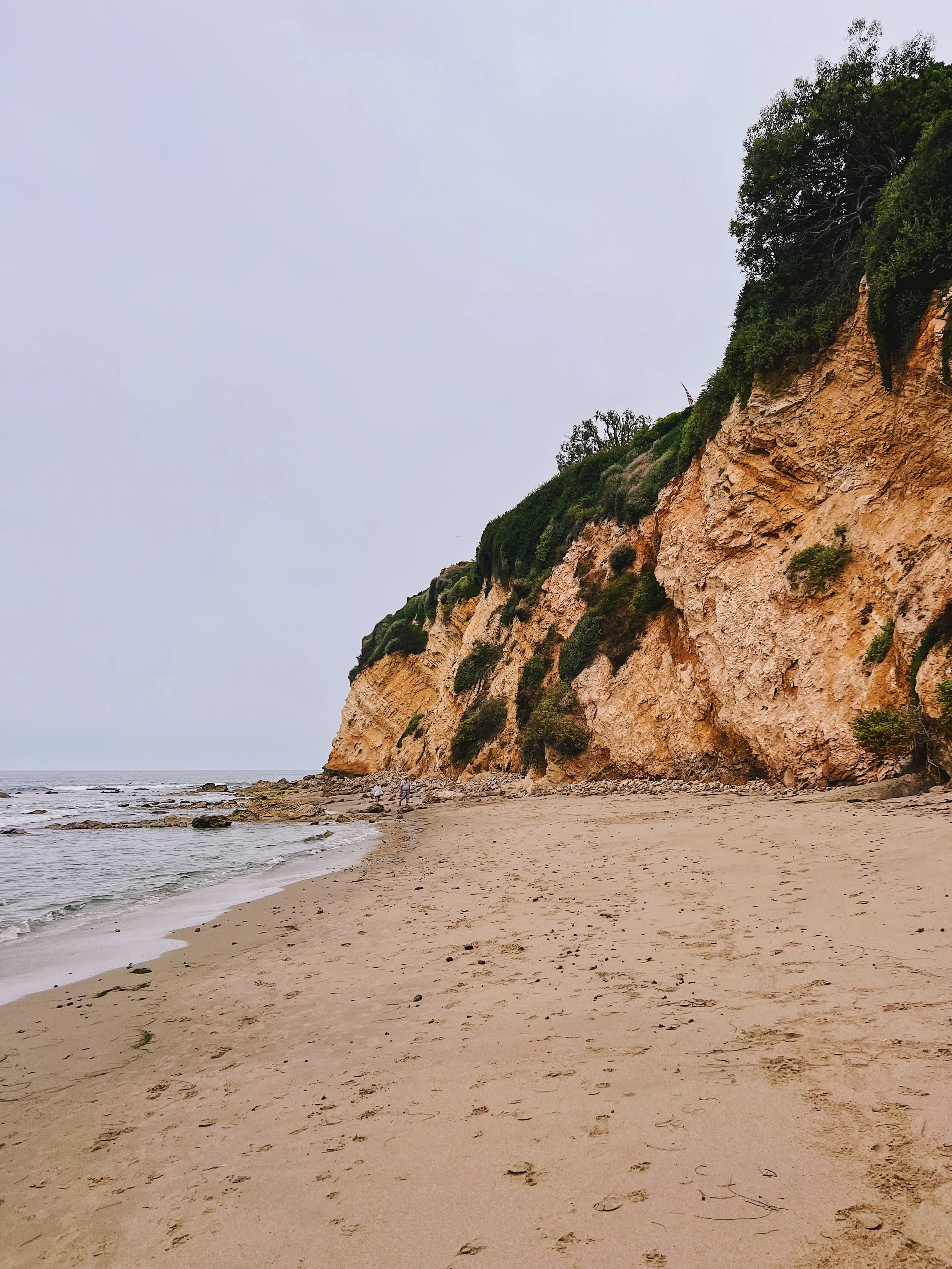 Surfer's Paradise II