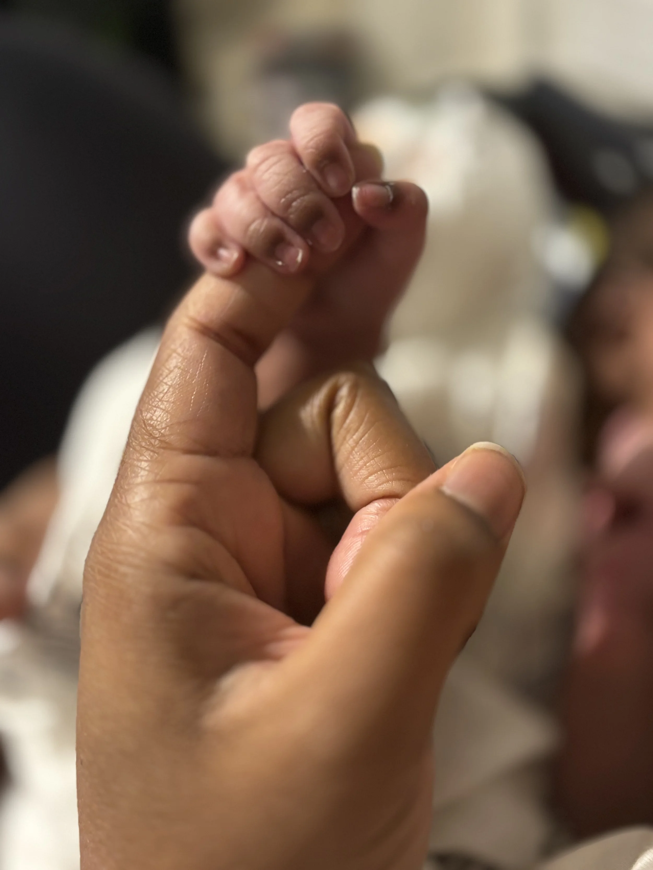 The Birth Only Journey