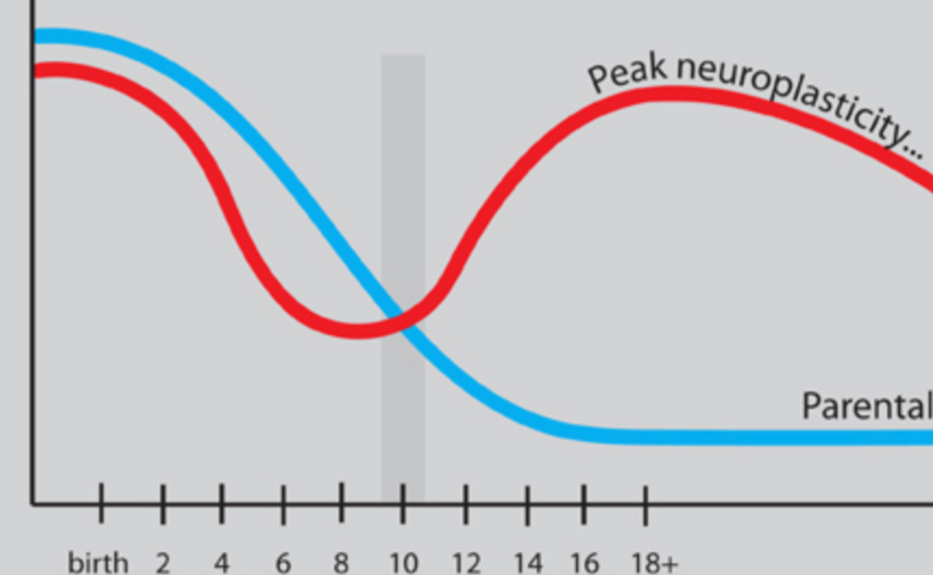 Clinically Integrated Transport - The Liminal States in the Youth Involuntary Transport 