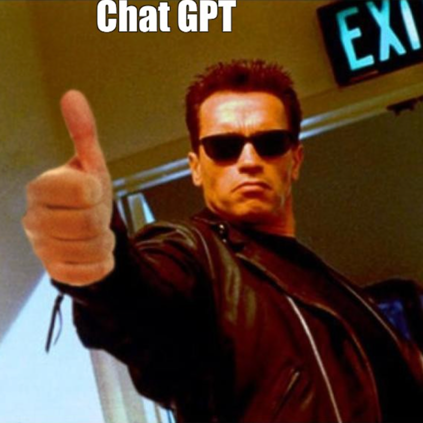 arnold schwarzenegger as terminator in a meme that says chat gpt
