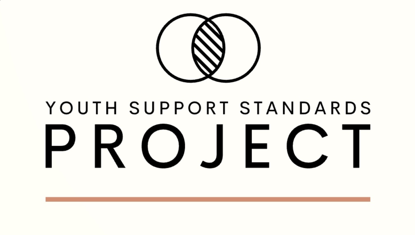 YOUTH SUPPORT STANDARDS PROJECT LOGO AND LINK TO INTERACTIVES PAGE AND MEMBERSHIP STAMP ACCREDIDATION