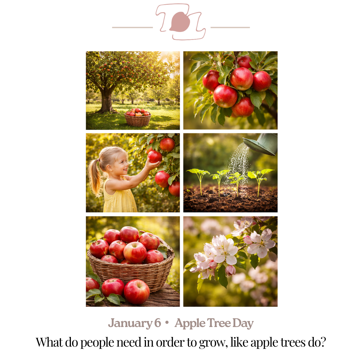 A collage of six photos celebrating Apple Tree Day on January 6. The images include an apple tree in an orchard with a basket of apples, close-up of red apples on a tree, a young girl picking an apple, watering young apple seedlings, a basket of apples, and blooming apple tree blossoms.