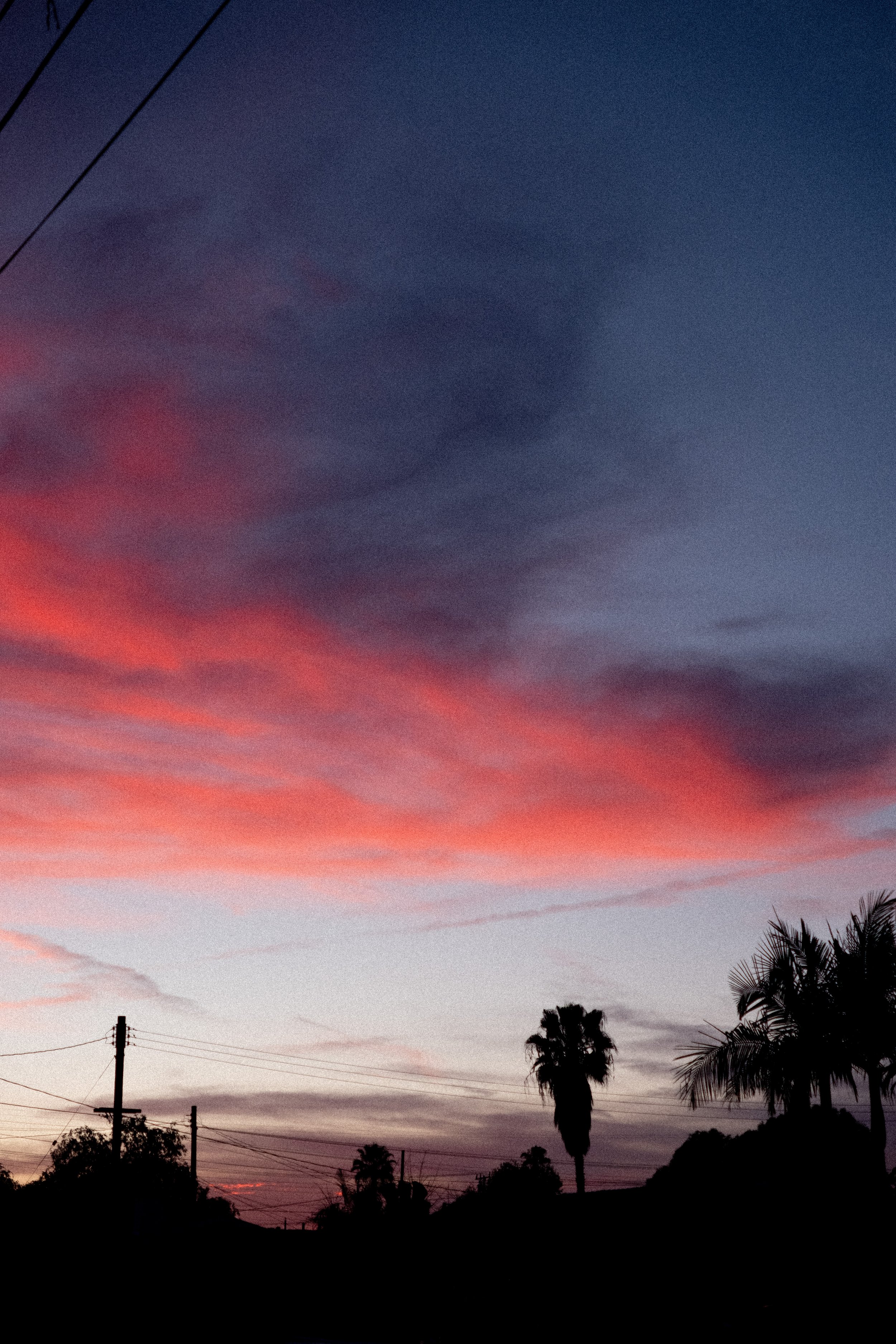 DSCF8276.jpg