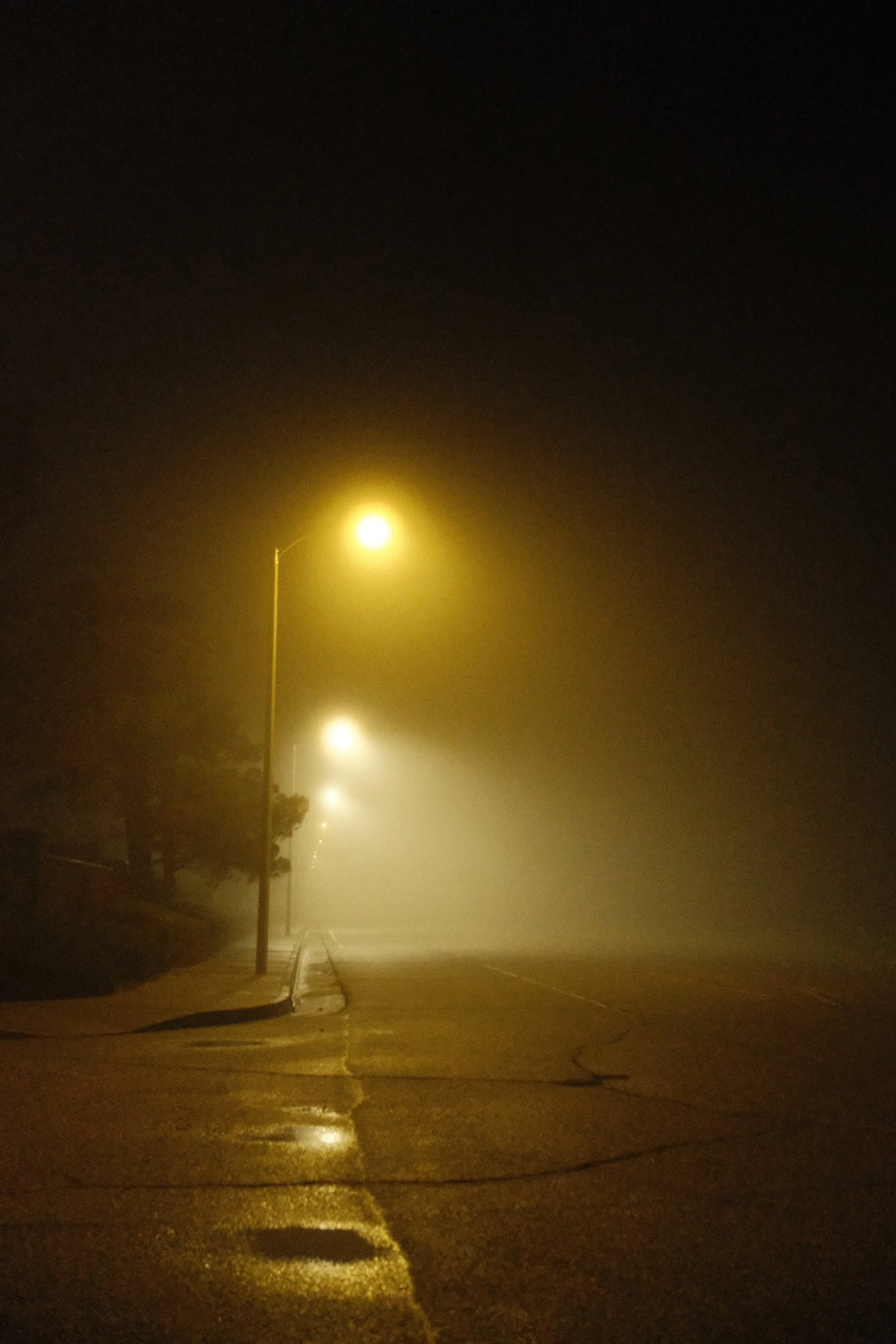 DSCF6965.jpg