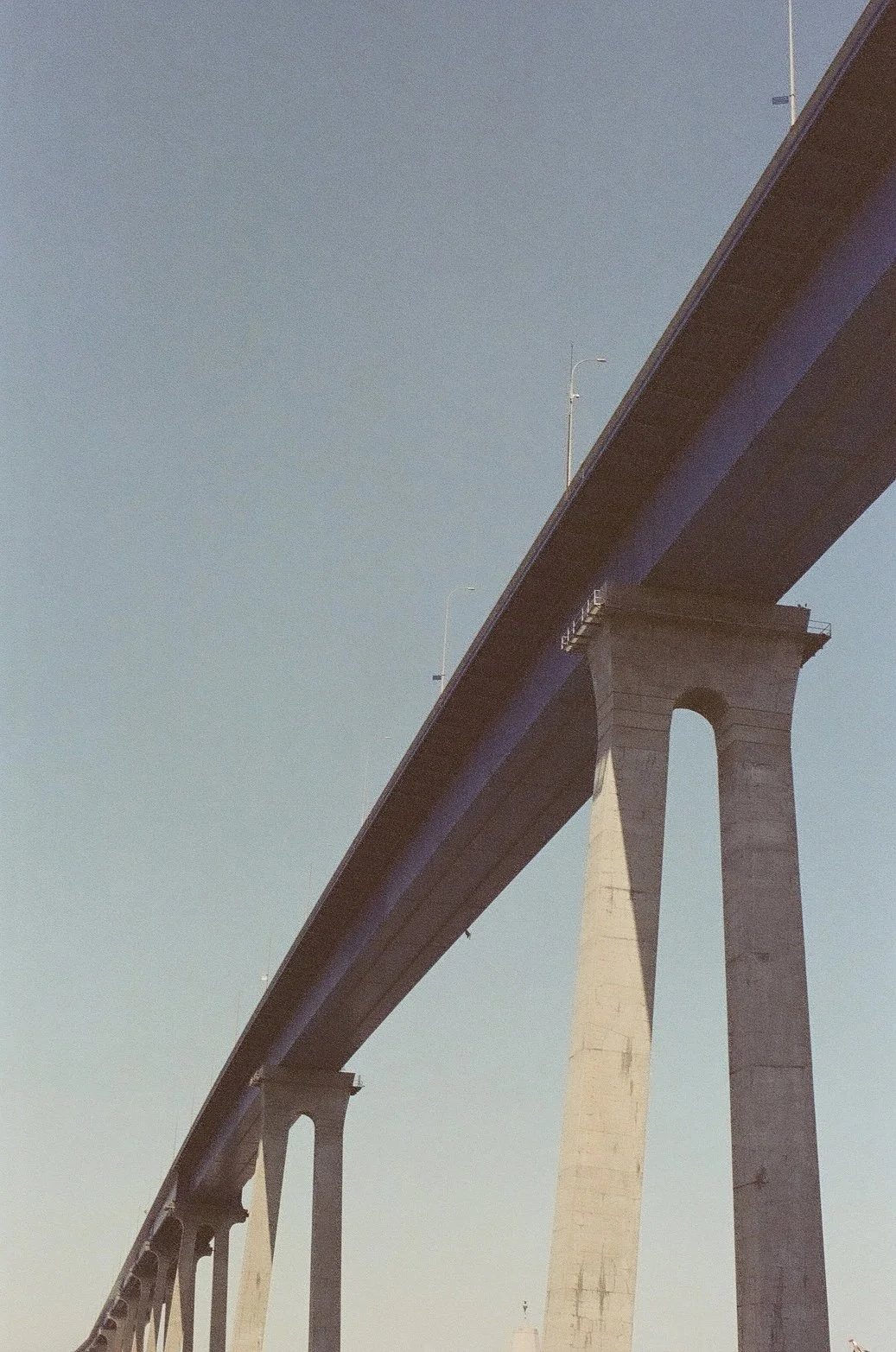 45426544.jpg