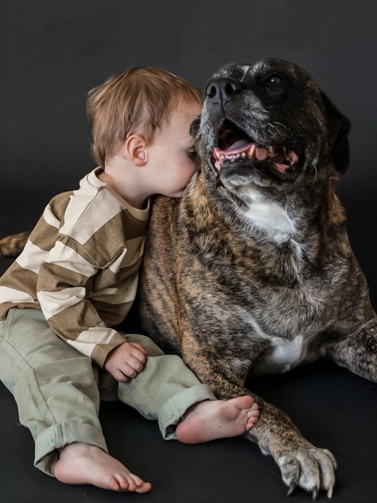 Little hands, big love, and furry best friends 🐾🤍

One of our most asked questions&hellip;
&ldquo;Can we bring our dog?&rdquo; 🐶
Absolutely 🤍
Because for many families, they&rsquo;re part of the story too.