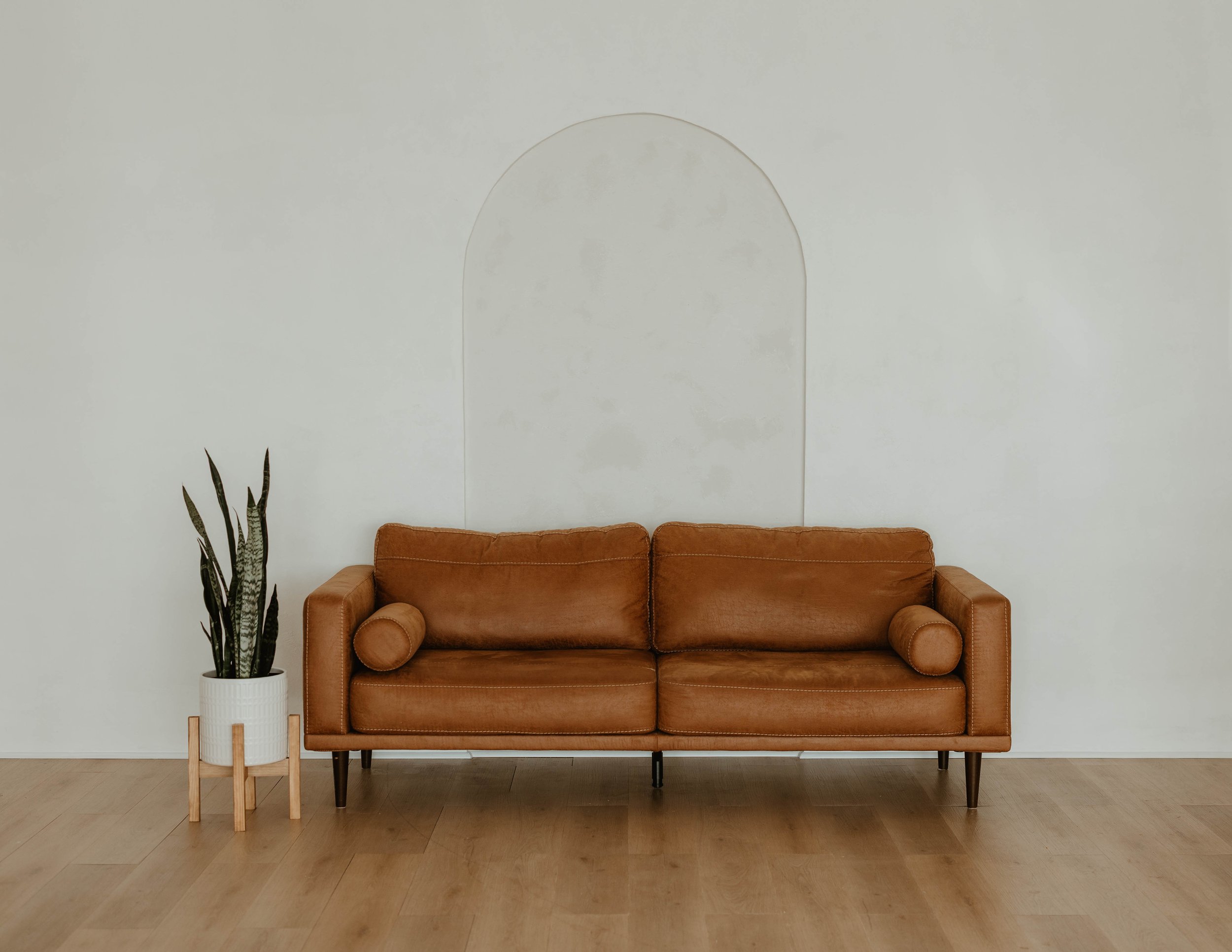 Living room with a tan leather sofa, a tall potted snake plant, and a section of hardwood floor against a plain white wall.