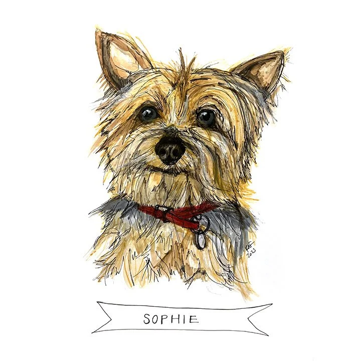 Sophie3.jpg