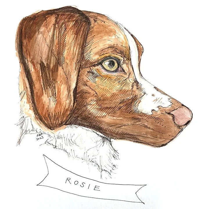 Rosie.jpg