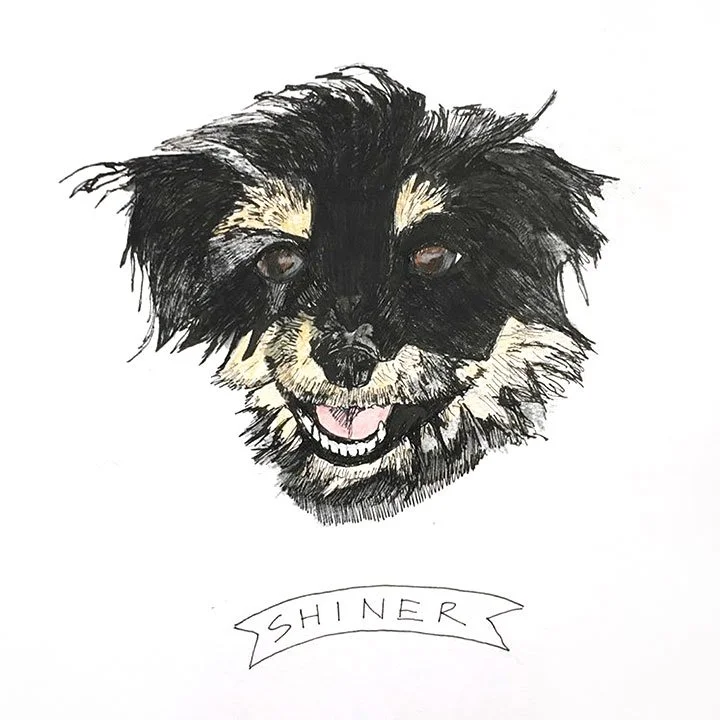 Shiner.jpg